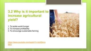 3.2 Why is it important to
increase agricultural
yield?
1. To tackle world hunger
2. To increase profitability
3. To encourage sustainable farming
https://www.youtube.com/watch?v=iloAQmro
RK0
 