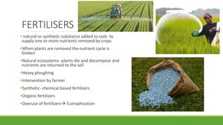 FERTILISERS
 natural or synthetic substance added to soils to
supply one or more nutrients removed by crops
When plants are removed the nutrient cycle is
broken
Natural ecosystems- plants die and decompose and
nutrients are returned to the soil
Heavy ploughing
Intervention by farmer
Synthetic- chemical based fertilizers
Organic fertilizers
Overuse of fertilizers Eutrophication
 