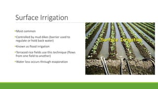 Surface Irrigation
Most common
Controlled by mud dikes (barrier used to
regulate or hold back water)
Known as flood irrigation
Terraced rice fields use this technique (flows
from one field to another)
Water loss occurs through evaporation
 