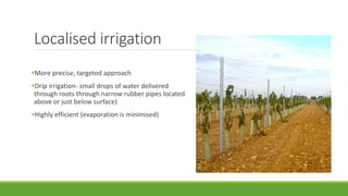 Localised irrigation
More precise, targeted approach
Drip irrigation- small drops of water delivered
through roots through narrow rubber pipes located
above or just below surface)
Highly efficient (evaporation is minimised)
 