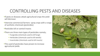 CONTROLLING PESTS AND DISEASES
If pests or diseases attack agricultural crops the yield
will decrease
Intensive commercial farmers- spray crops with a range
of synthetic chemicals (pesticides)
Pesticides kill or control insects
There are three main types of pesticides namely;
 Fungicides (chemicals used to kill fungi)
 Herbicides (chemicals used to kill weeds)
 Insecticides (chemicals used to kill insects)
The used of pesticides have proven to increase
agricultural yields
 