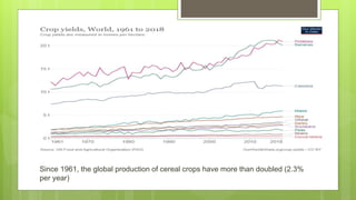 Since 1961, the global production of cereal crops have more than doubled (2.3%
per year)
 