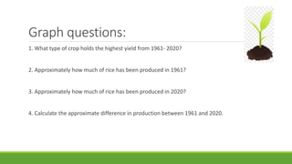 Graph questions:
1. What type of crop holds the highest yield from 1961- 2020?
2. Approximately how much of rice has been produced in 1961?
3. Approximately how much of rice has been produced in 2020?
4. Calculate the approximate difference in production between 1961 and 2020.
 