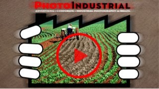 Fotografia agricultura, plantações, criação de gado e aereas - Agriculture, livestock photography in Brazil