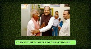 AGRICULTURE MINISTER OF CHHATTISGARH
 