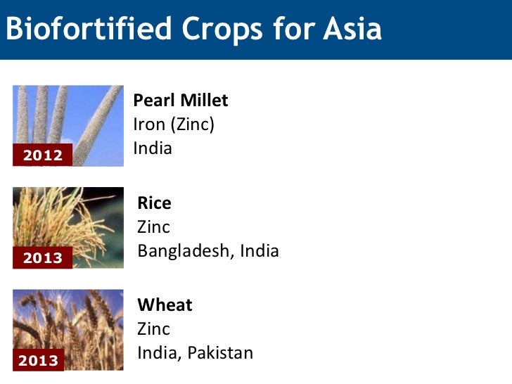 Biofortification Provitamin A Maize in Zambia