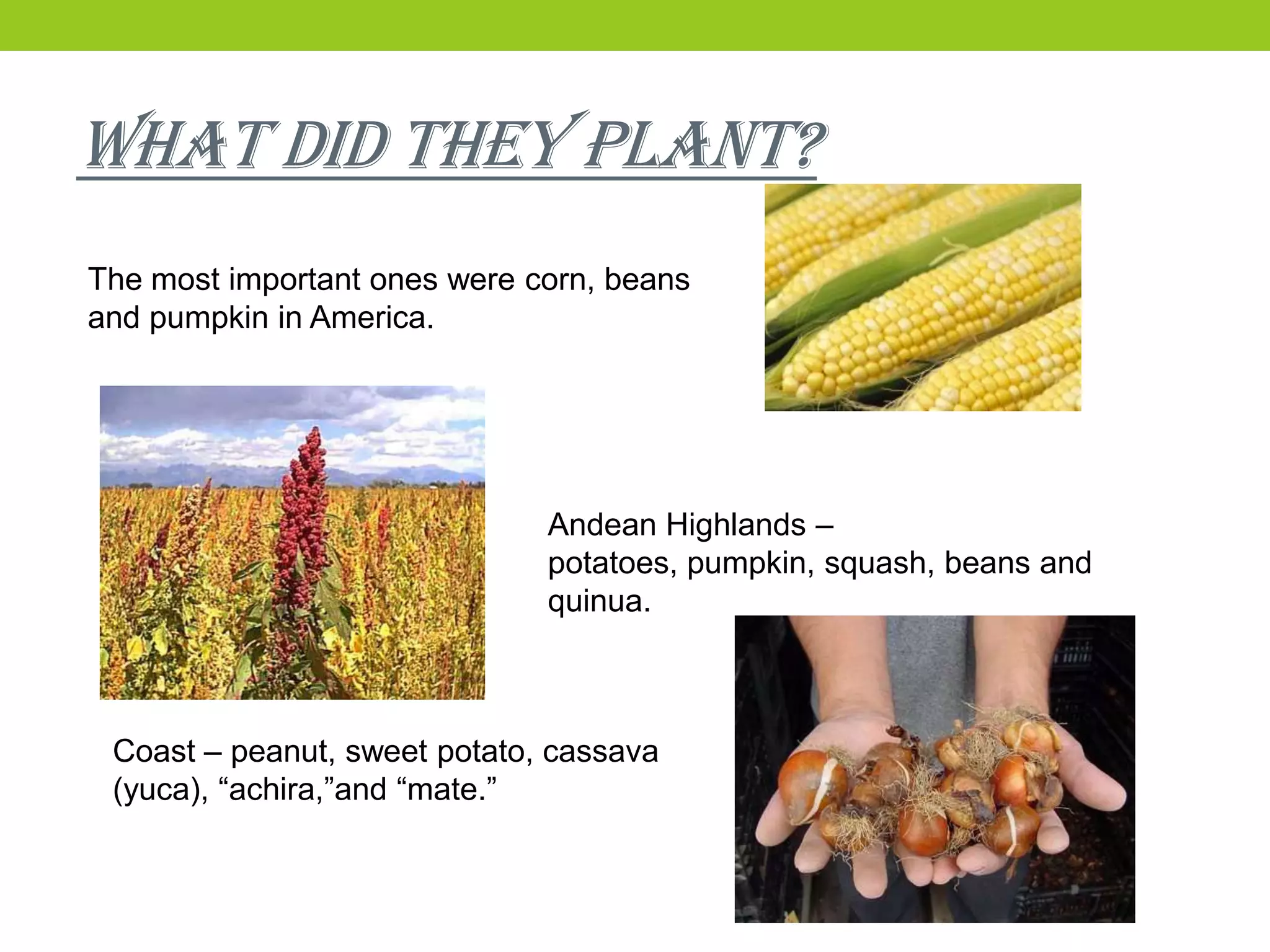 Agriculture origin | PPTX