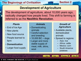 The Beginnings of Civilization                           Section 2

                Development of Agriculture
  The development of agriculture, about 10,000 years ago,
  radically changed how people lived. This shift to farming is
  referred to as the Neolithic Revolution.
         Plants                   Animals              Growth of
  • End of Ice Age       •   Domesticating             Agriculture
  • New plants               animals              • Available plants,
                         •   Careful selection      domesticated
  • New food source
                             and breeding           animals
  • People learned to    •   10,000 BC – dogs     • Spread to regions:
    farm                 •   Larger and more         –   Asia: rice
                             stable supply of        –   Africa: cattle
  • Domestication
                             meat, milk, skins,      –   Mexico: corn
  • Larger food supply                               –   South America:
                             wool
                                                         potatoes
 