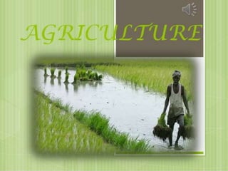 Agriculture part 1 (geo)