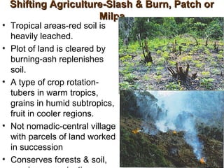Milpa Field Rotation Agriculture part 2 | PPT
