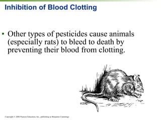 Agriculture & pesticides