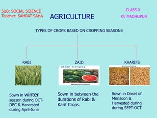 AGRICULTURE
CLASS X
KV MADHUPUR
SUB: SOCIAL SCIENCE
Teacher: SAMRAT SAHA
TYPES OF CROPS BASED ON CROPPING SEASONS
RABI ZAI...