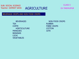AGRICULTURE
CLASS X
KV MADHUPUR
SUB: SOCIAL SCIENCE
Teacher: SAMRAT SAHA
BEVERAGE CROPS AND NON FOOD CROPS
BEVERAGES
TEA
C...