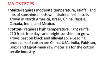 Agriculture ppt GEOGRAPHY CBSE PPT Agriculture ppt GEOGRAPHY CBSE PPT