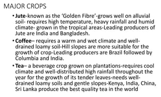 MAJOR CROPS
• Jute-known as the ‘Golden Fibre’-grows well on alluvial
soil- requires high temperature, heavy rainfall and humid
climate- grown in the tropical areas-Leading producers of
Jute are India and Bangladesh.
• Coffee– requires a warm and wet climate and well-
drained loamy soil-Hill slopes are more suitable for the
growth of crop-Leading producers are Brazil followed by
Columbia and India.
• Tea– a beverage crop grown on plantations-requires cool
climate and well-distributed high rainfall throughout the
year for the growth of its tender leaves-needs well-
drained loamy soils and gentle slopes-Kenya, India, China,
Sri Lanka produce the best quality tea in the world
 