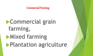 Commercial Farming
Commercial grain
farming,
Mixed farming
Plantation agriculture
 