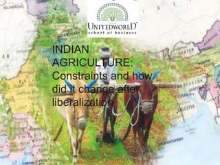 INDIAN 
AGRICULTURE: 
Constraints and how 
did it change after 
liberalization 
 