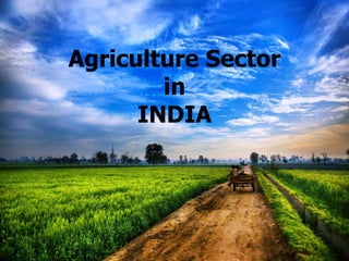 Agriculture Sector
in
INDIA
 