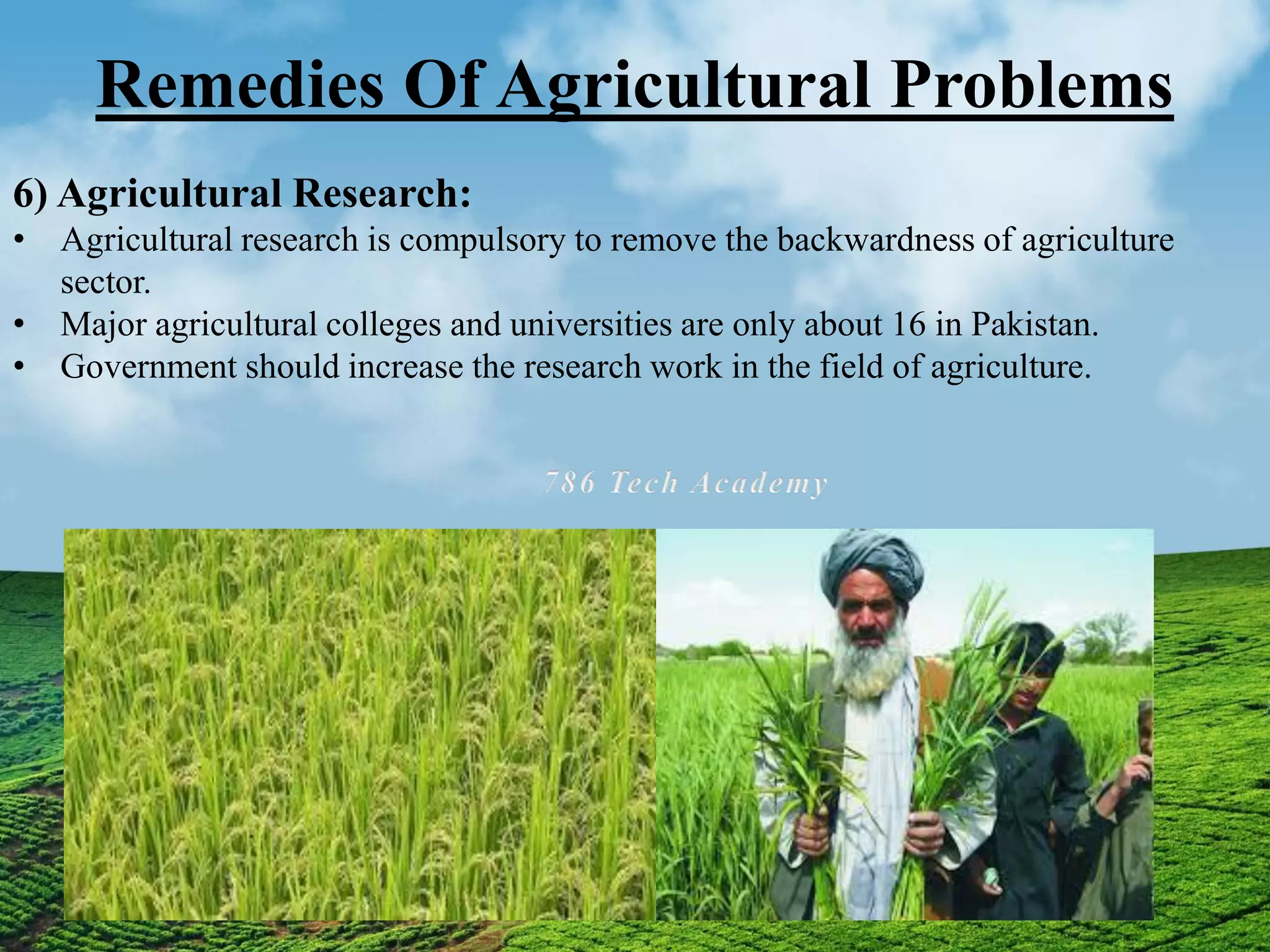 Remedies Of Agricultural Problems
6) Agricultural Research:
• Agricultural research is compulsory to remove the backwardness of agriculture
sector.
• Major agricultural colleges and universities are only about 16 in Pakistan.
• Government should increase the research work in the field of agriculture.
 