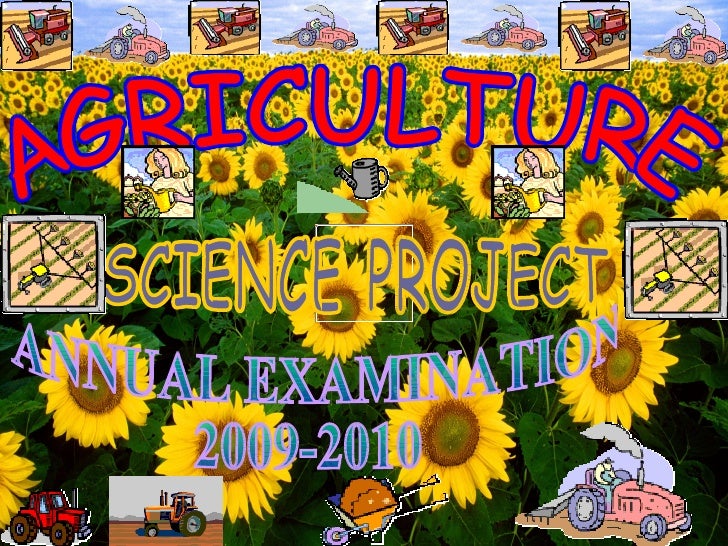Agriculture Project For Science Annual Examination 2009 2010 Podar In…