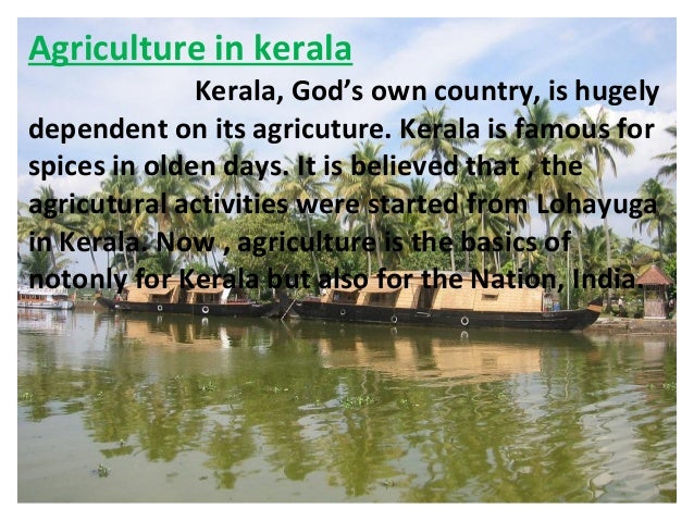 agriculture in kerala essay in english
