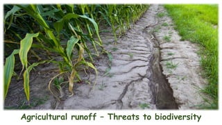 Agricultural runoff – Threats to biodiversity
 