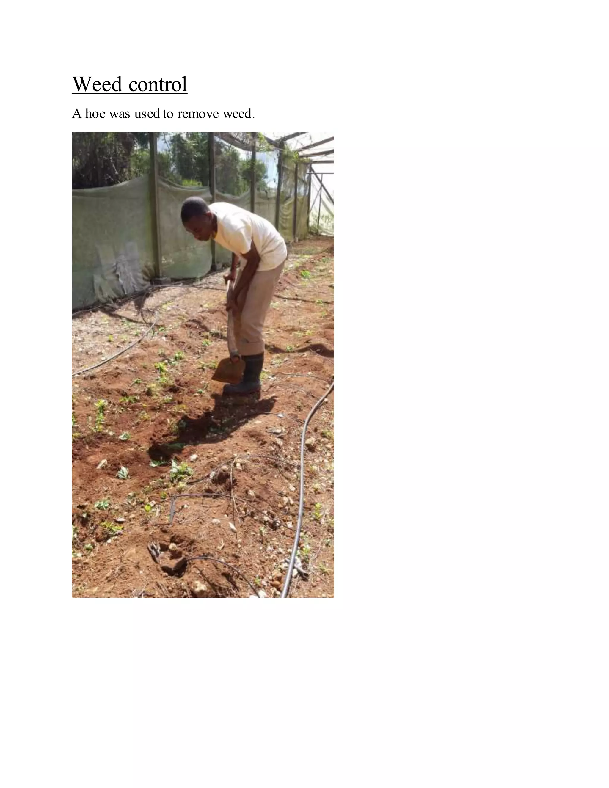Agriculture sba | DOCX
