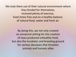 By doing this, we not only created
an unnatural setting for the creation
of mass produced unhealthy food,
but also the incubator and breeding ground
for various deceases that threaten
animals and humans alike.
We took them out of their natural environment where
they fended for themselves,
received plenty of exercise,
lived stress free and on a healthy balance
of natural food, water and fresh air.
 