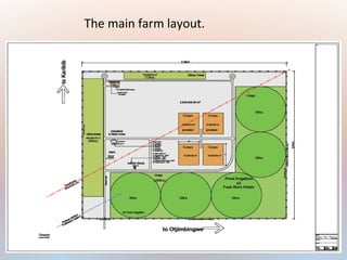 The main farm layout.
 