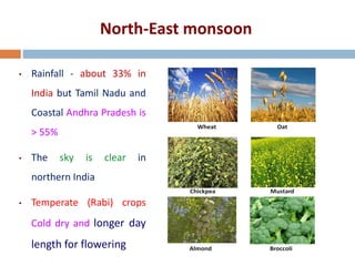 Agriculture seasons in India & crops sowing | PDF