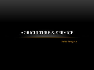 Melisa Sahagun A.
AGRICULTURE & SERVICE
 