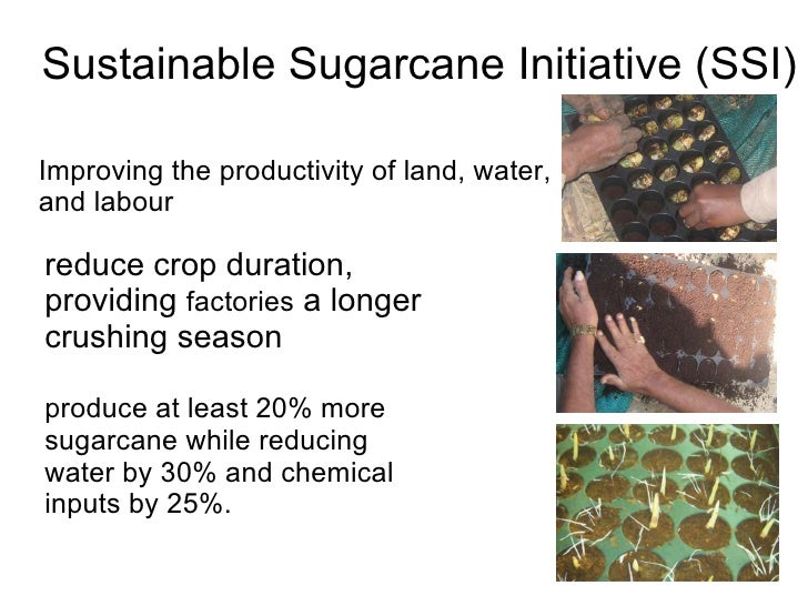 Agriculture Sugarcane agriculture-sugarcane