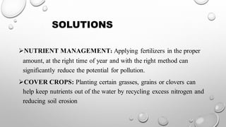 SOLUTIONS
➢NUTRIENT MANAGEMENT: Applying fertilizers in the proper
amount, at the right time of year and with the right method can
significantly reduce the potential for pollution.
➢COVER CROPS: Planting certain grasses, grains or clovers can
help keep nutrients out of the water by recycling excess nitrogen and
reducing soil erosion
 