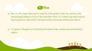 Agriculture x a cropping pattern and major crops (rice and wheat ...