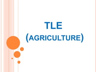 TLE
(AGRICULTURE)
 