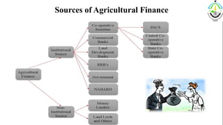 Sources of Agricultural Finance
3/20/2018 AGRICULTURAL FINANCE 13
 
