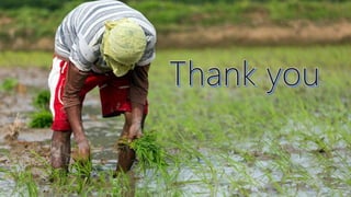Agricultural finance 