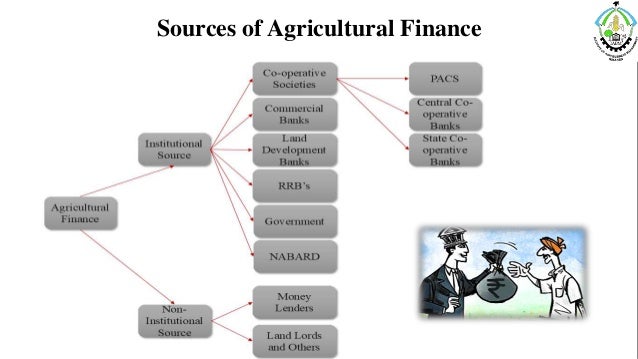 Green farm field and agriculture financing graphical chart infographic