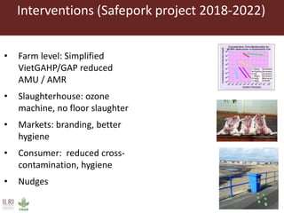 Interventions (Safepork project 2018-2022)
• Farm level: Simplified
VietGAHP/GAP reduced
AMU / AMR
• Slaughterhouse: ozone
machine, no floor slaughter
• Markets: branding, better
hygiene
• Consumer: reduced cross-
contamination, hygiene
• Nudges
 