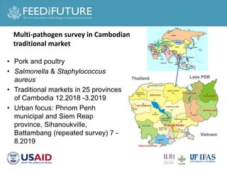 Health and Agri-food systems: Ensuring safe and fair foods for everyone