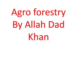 Agro forestry
By Allah Dad
Khan
 
