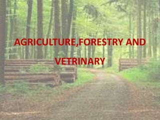 AGRICULTURE,FORESTRY AND
VETRINARY
 
