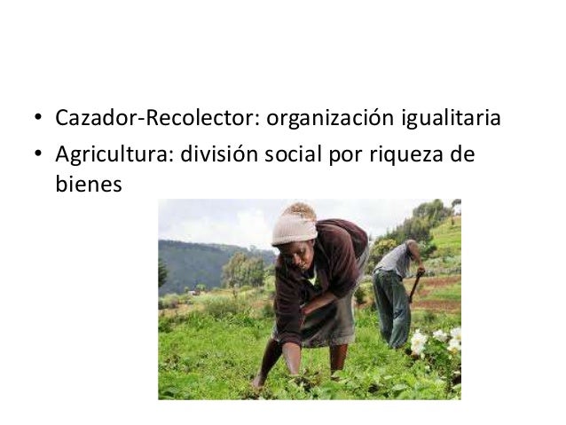 Agrigultura cazador-recolector