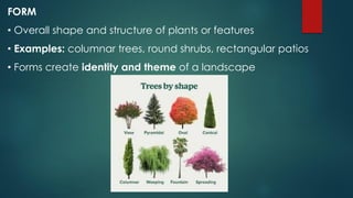 Rectangular Shrub Tree Landscape Design Agri hort 411 - Lecture 2.pdf
