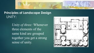 Design Principles Unity Landscape Fundamental Principles of Landscape Design and Softscape Planning | PPTX