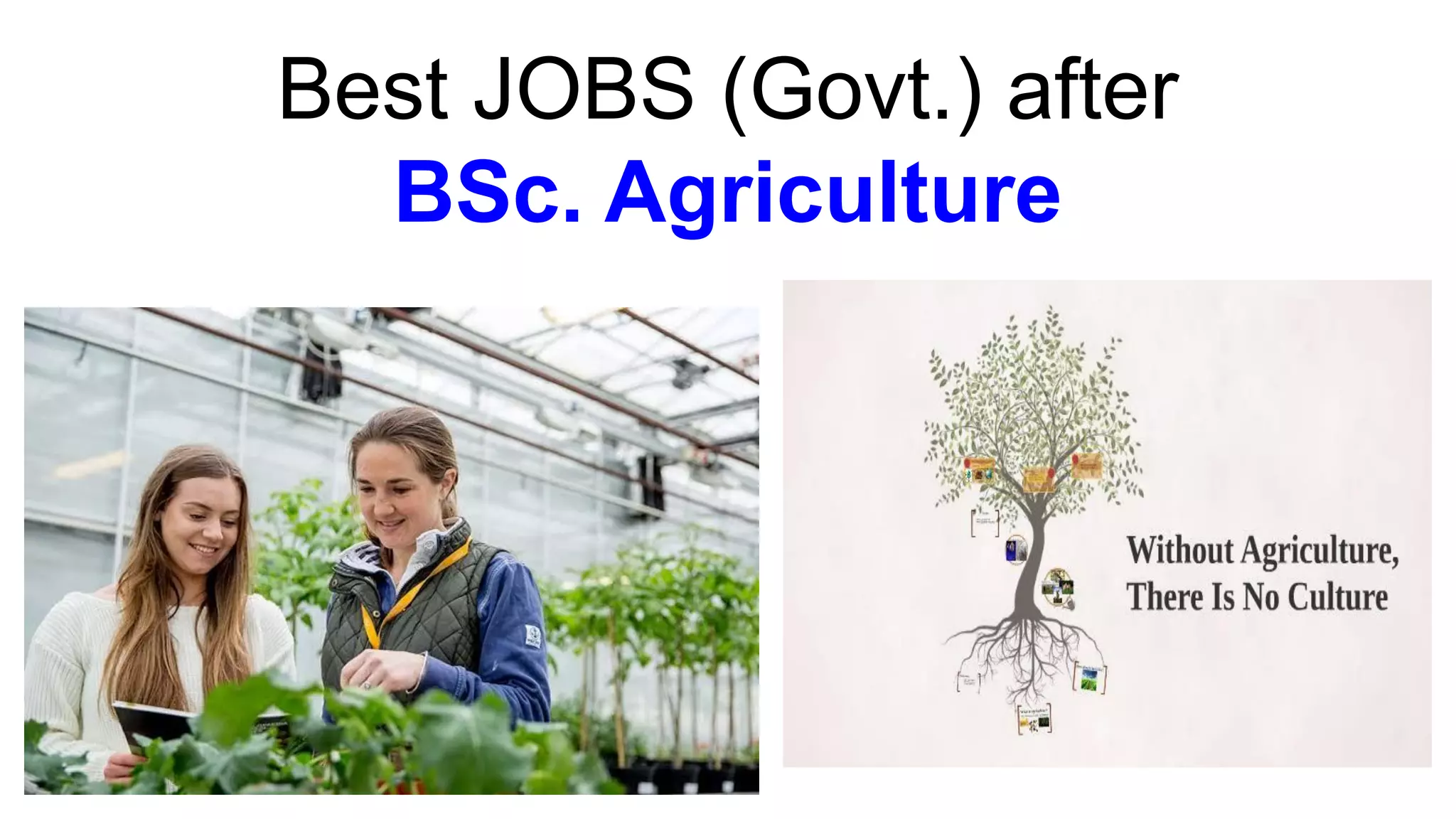 Best government jobs after BSc Agriculture pdf PPT