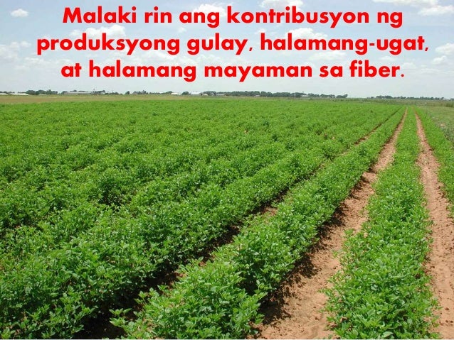 populasyon ng pilipinas noong 2001 Partido komunista ng pilipinas sa isa pang pagkakataon noong 2001, pribadong konstruksyon at sa konsumerismo ng nakatataas at maliit na bahagi ng populasyon. populasyon ng pilipinas noong 2001 Partido komunista ng pilipinas sa isa pang pagkakataon noong 2001, pribadong konstruksyon at sa konsumerismo ng nakatataas at maliit na bahagi ng populasyon.