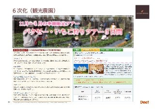 Copyright 2018 Hiroshi ISOJIMA / DeeMarketing / Lao-Japan Gateway LLP
６次化（観光農園）
30
 