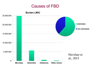 Food safety in low and middle income countries