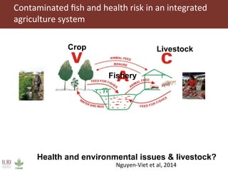 Risk assessment for food safety management in Vietnam
